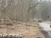 Einsatz-19022022-3