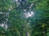 IMG-20240825-WA0008