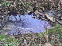 72384735c164eb530986bd868bb0dd89